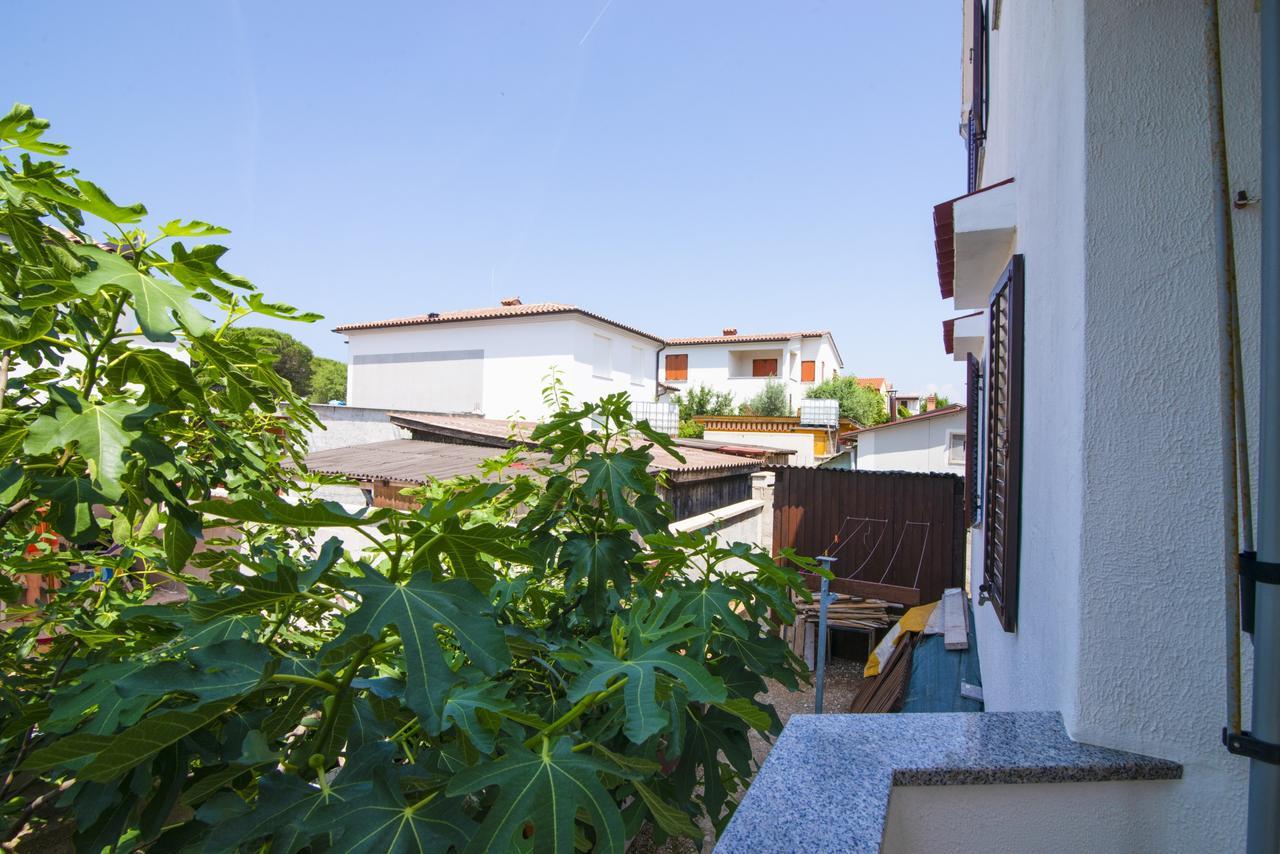 Apartman Maja *